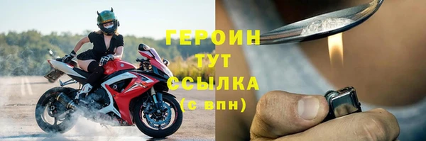 гашик Ельня