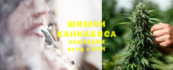 гидра Елизово