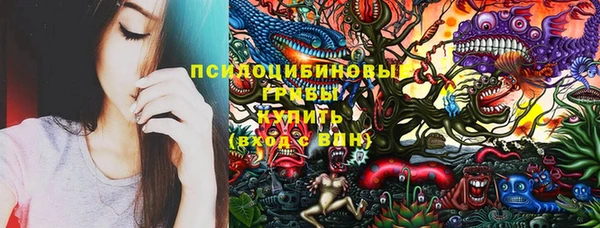 МДПВ Заволжск