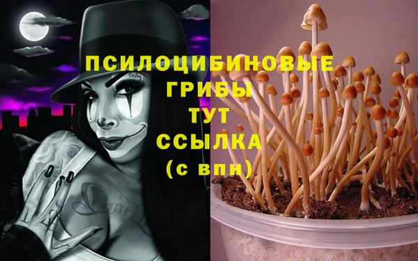 винт Заводоуковск