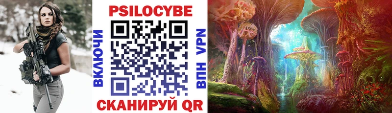 купить   Домодедово  мега ТОР  Псилоцибиновые грибы Psilocybe 